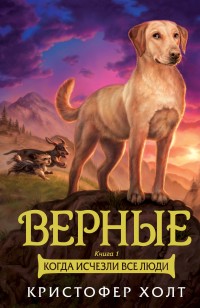 asmodei_ru_book_25622