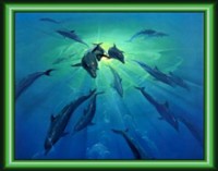 Обложка книги Процент соответствия