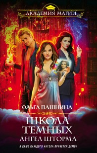 Обложка книги Школа темных. Ангел шторма