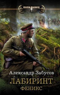 Обложка книги Лабиринт. Феникс
